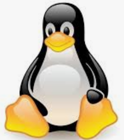 linux.png linux.png